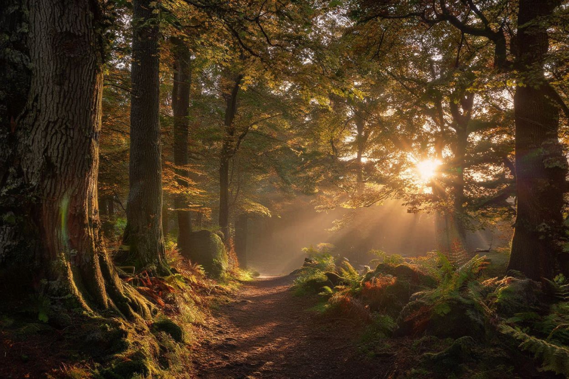 Farnsworth Lumber — product catalog and services